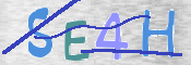 この文字を入力してください