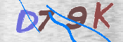 この文字を入力してください