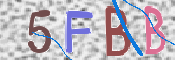 この文字を入力してください