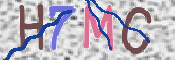 この文字を入力してください