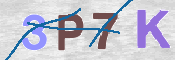 この文字を入力してください