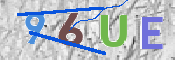 この文字を入力してください
