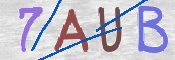この文字を入力してください