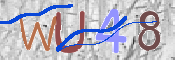 この文字を入力してください