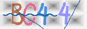 この文字を入力してください