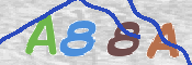この文字を入力してください