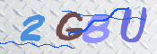 この文字を入力してください