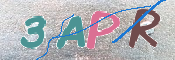 この文字を入力してください