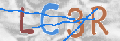 この文字を入力してください
