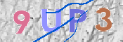この文字を入力してください