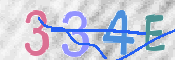 この文字を入力してください