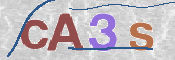 この文字を入力してください
