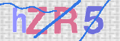 この文字を入力してください