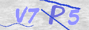 この文字を入力してください