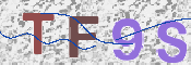 この文字を入力してください