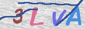 この文字を入力してください