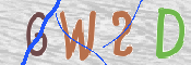 この文字を入力してください