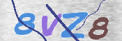 この文字を入力してください