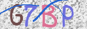 この文字を入力してください