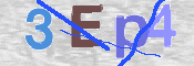 この文字を入力してください