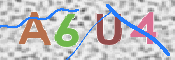 この文字を入力してください