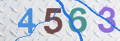 この文字を入力してください