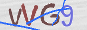 この文字を入力してください