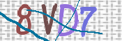 この文字を入力してください