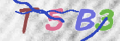 この文字を入力してください
