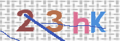 この文字を入力してください