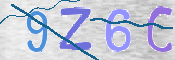 この文字を入力してください
