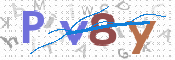 この文字を入力してください