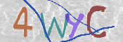 この文字を入力してください