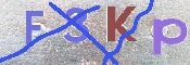 この文字を入力してください