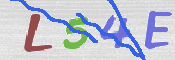 この文字を入力してください