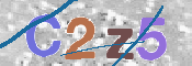 この文字を入力してください
