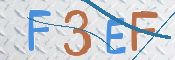 この文字を入力してください