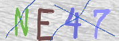 この文字を入力してください