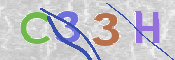 この文字を入力してください