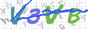 この文字を入力してください