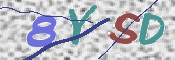 この文字を入力してください