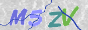 この文字を入力してください