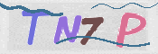 この文字を入力してください