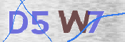 この文字を入力してください