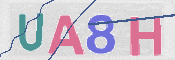 この文字を入力してください