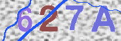 この文字を入力してください