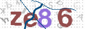 この文字を入力してください