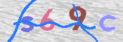 この文字を入力してください