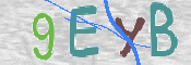 この文字を入力してください