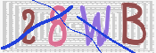 この文字を入力してください